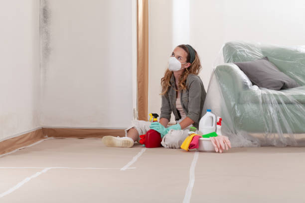 Reliable Commercial Mold Remediation contractor in Dundalk, MD by WQB Mold Removal